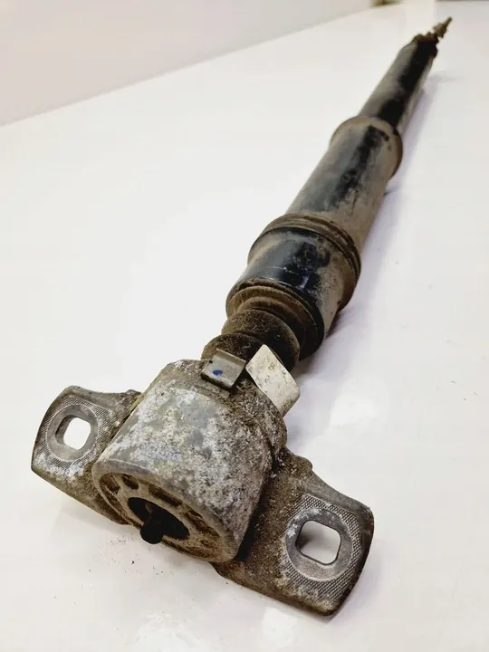 Ammortizzatore posteriore lato sinistro Citroen C4 II 9811519480 image 2