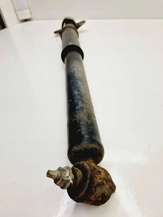 Ammortizzatore posteriore lato sinistro Citroen C4 II 9811519480 image 3