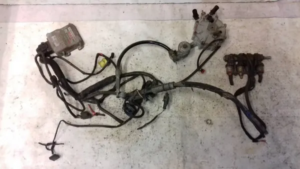 Kit LPG Stag 4 ECO OEM AYC1063 - 4 Cilindros image 2