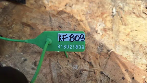 Supporto anteriore Ford Focus MK1 98AG5019AL image 6