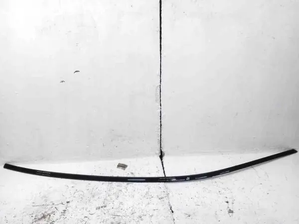 Carril de techo izquierdo OEM 7404327 para BMW 7 G11 G12 image 2