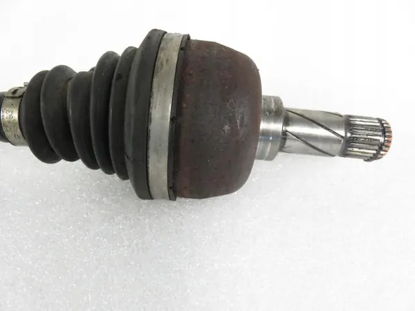 POLOS LP P8689213 image 6