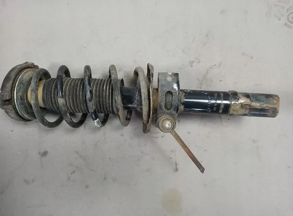 Ammortizzatore Anteriore Destro con Molla image 2