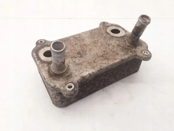 Refroidisseur d'huile Porsche OEM 6819130 Cayenne 4.5 V8 image 4