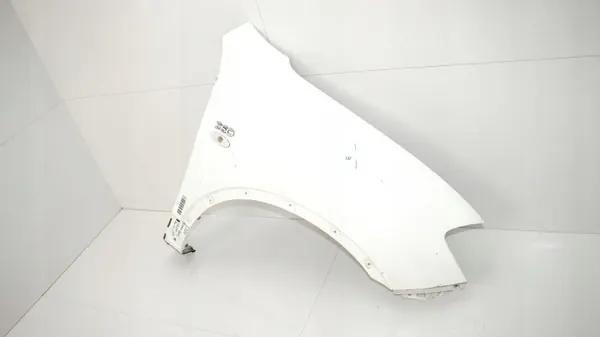 Vorderer rechter Kotflügel OEM 360178504 Nissan Qashqai image 6