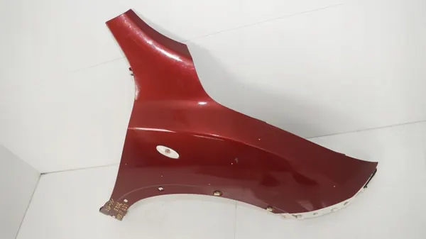 OEM 360204258 Front rechter Kotflügel für Nissan Juke image 3