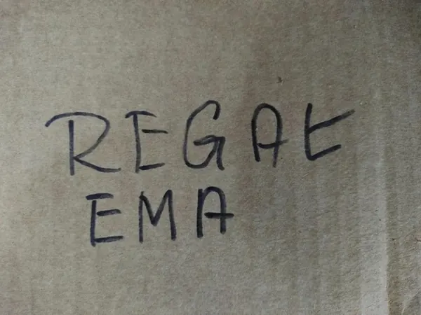 Etupuskuri päätykappale vasen oikea Duster II harmaa image 2