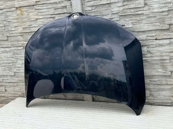 Motorhuv SKODA RAPID 5JA823031B image 6