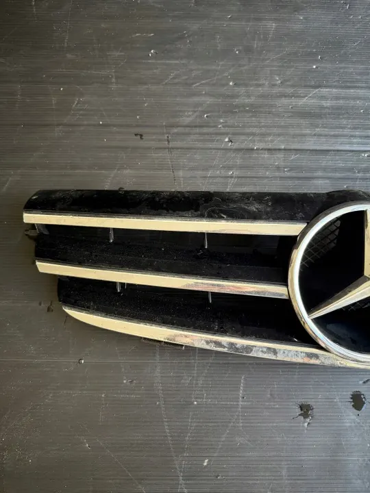 Jäähdyttimen Atrapa Chłodnicy OEM MERCEDES CLK220 2009 image 3