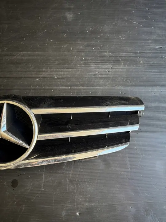 Jäähdyttimen Atrapa Chłodnicy OEM MERCEDES CLK220 2009 image 4