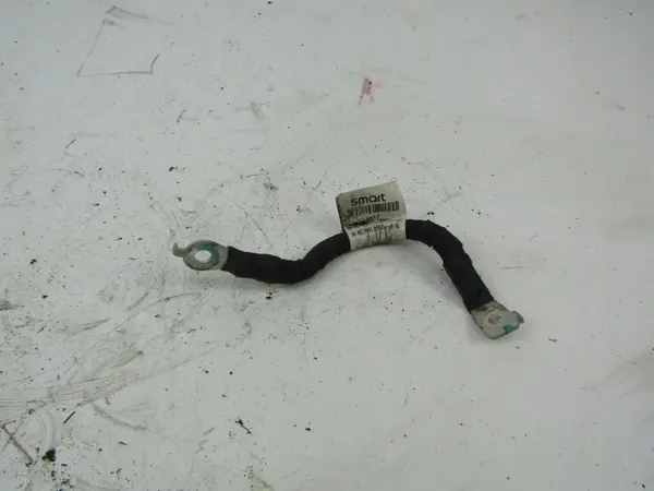 Cabo elétrico Smart OE OEM AK-6-87410 image 2