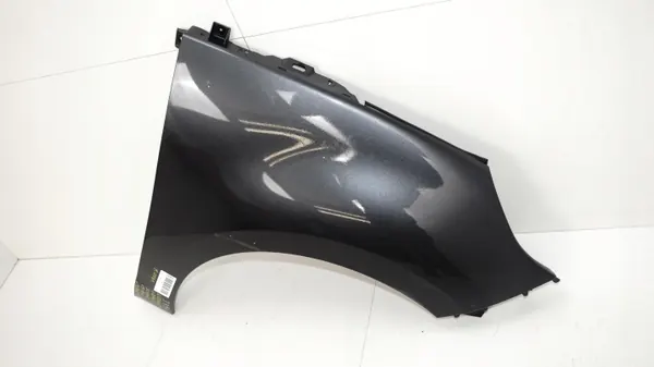 Para-lama dianteiro direito OEM 360178407 Renault Grand Scenic image 6