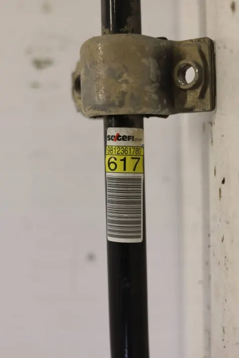 Citroen DS7 Crossback Vorderer Stabilisatorlenker OEM 9812361780 image 4