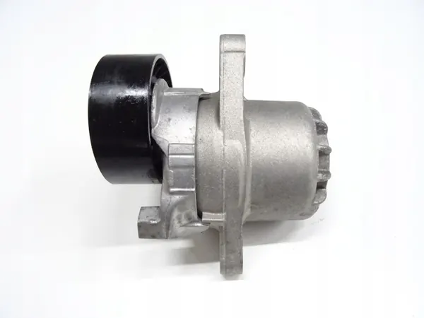 V-snaarspanningsrol OEM E50119A111960 voor Peugeot image 2