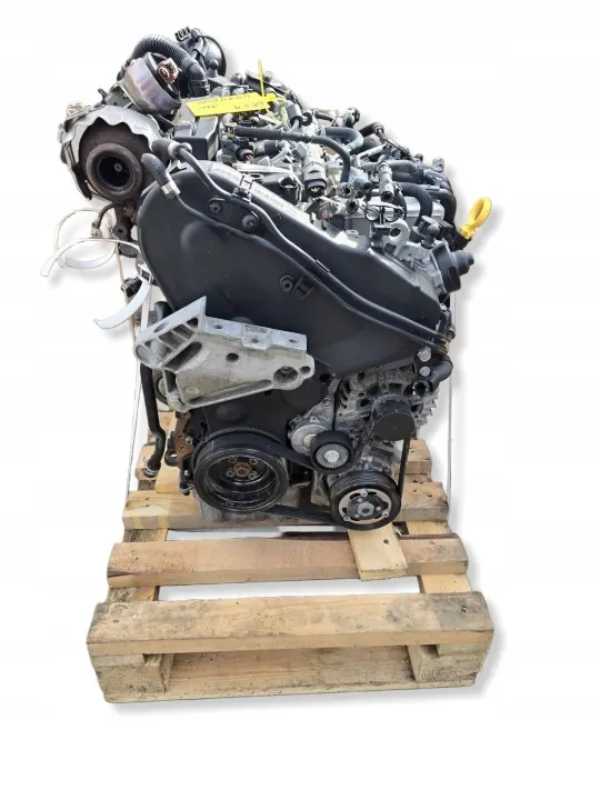 Moteur Complet DFEA 2.0 TDI Diesel pour VW Groupe image 2