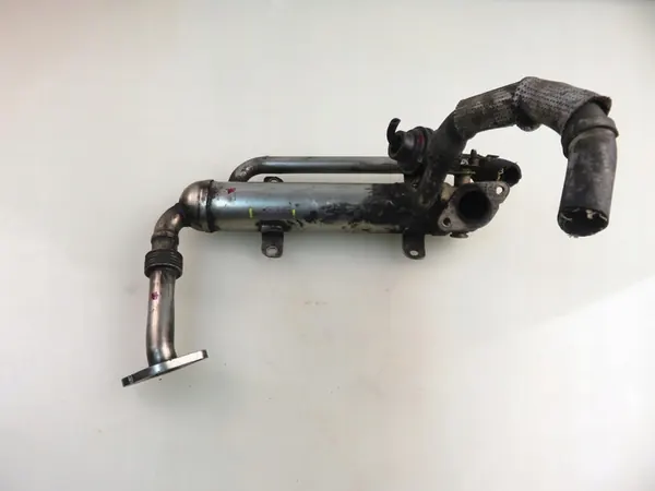 Volkswagen OE 03G131512AA Pakokaasujäähdytin image 6