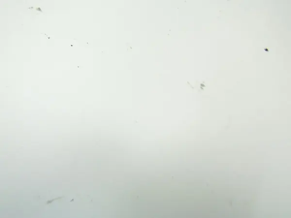 MERCEDES E W210 Arbre de transmission image 7