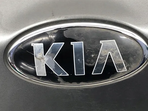 OEM LORK-1561-58622 Garniture Hayon Kia Carens image 3
