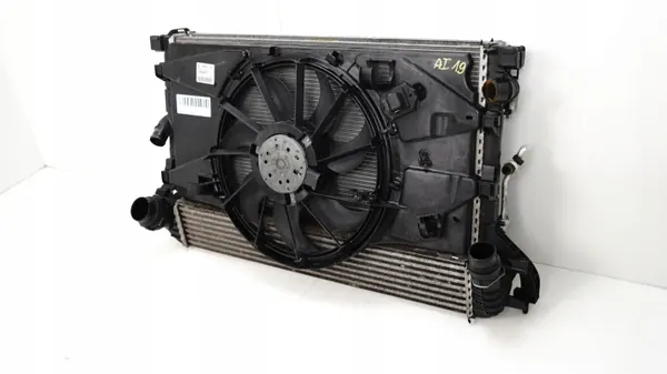 Kit radiador OEM 1441190226 para Renault Laguna III image 4