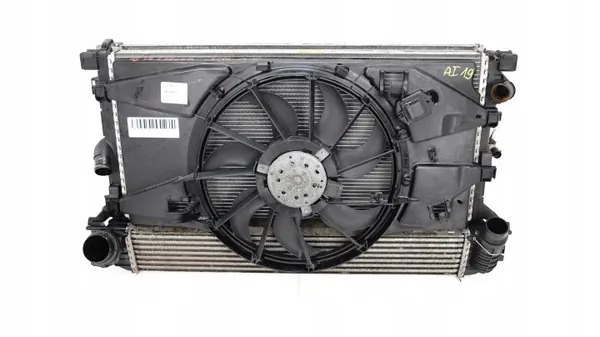 Kit radiador OEM 1441190226 para Renault Laguna III image 6