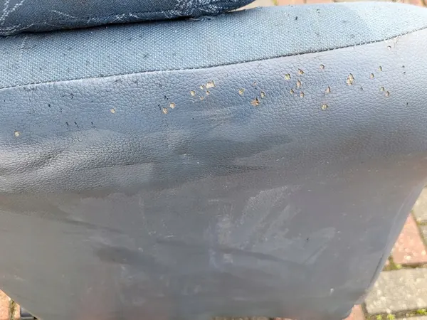 Front Right Passenger Seat Frame Renault Kangoo I OE image 7