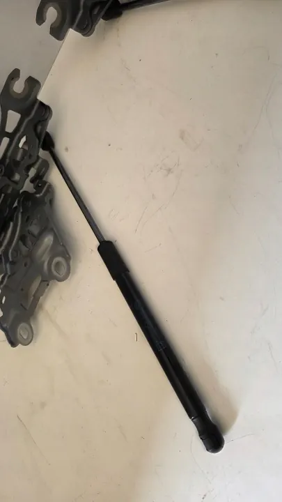 Bisagra de Capó Izquierda Derecha OEM 9883418 9883417 C5A BMW image 5
