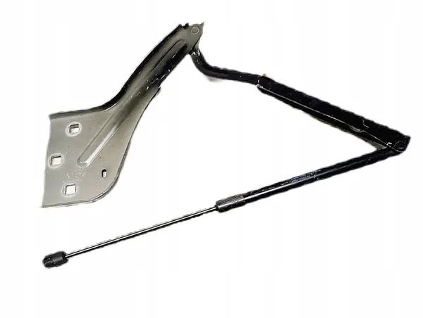 JAGUAR AMORTISSEUR DE CAPOT HK83-16C826-AA image 1