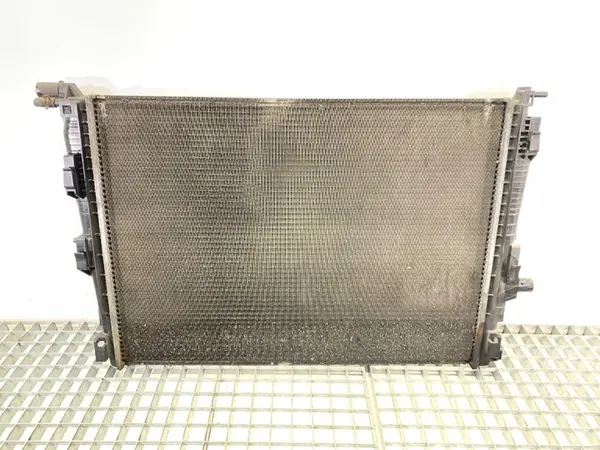Radiador de agua Renault Scenic III 1.6 110CV 214100014R image 2