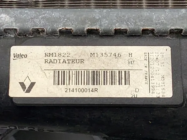 Radiador de agua Renault Scenic III 1.6 110CV 214100014R image 4