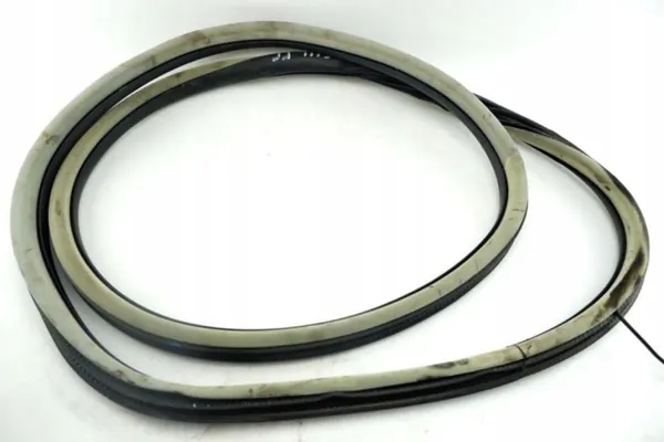 Junta de puerta delantera derecha OEM 303661 para Citroen C5 III image 2