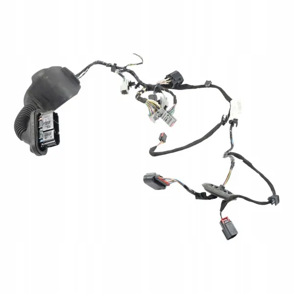 Harness Puerta Ford Fiesta Mk7 OEM C1BT-14K138-BDG image 2