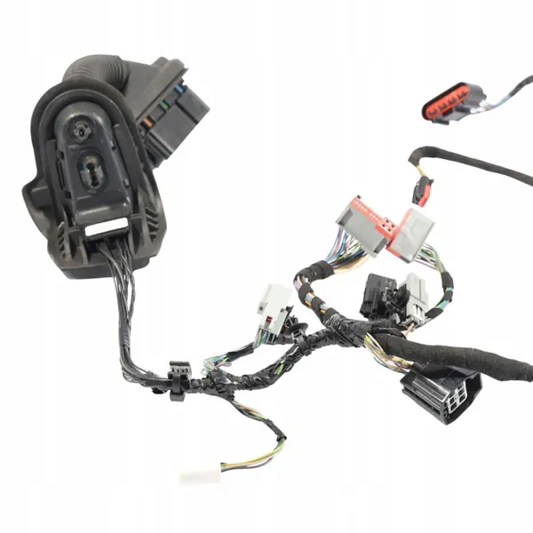 Harness Puerta Ford Fiesta Mk7 OEM C1BT-14K138-BDG image 7