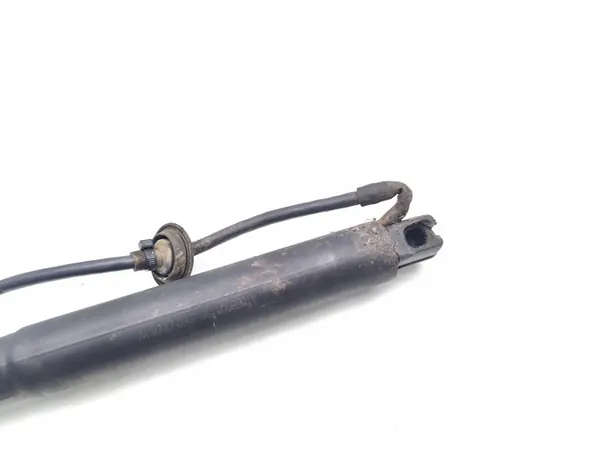 Mercedes-Benz M-Class Rear Trunk Lid Shock Absorber OEM image 7