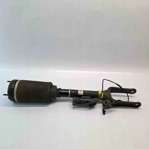 Mercedes-Benz OE A2513205613 Luftdämpare image 3