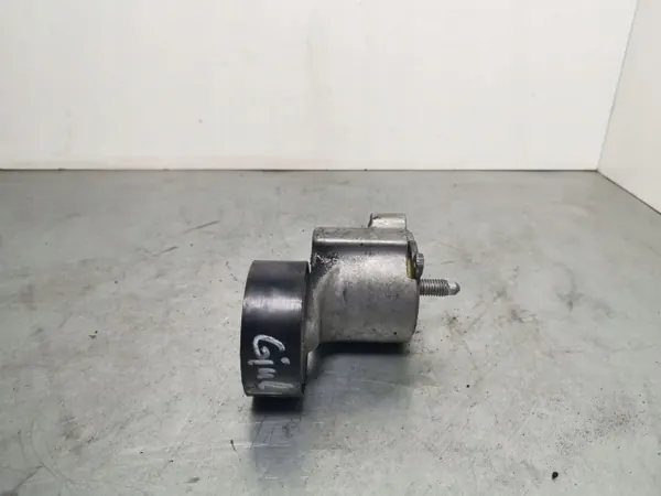 Växelströmsgeneratorremspännare OEM FBZ9825 Alfa image 3
