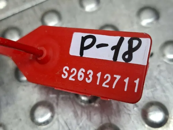 Contrôleur Moteur OEM S26312711 pour Citroen Peugeot 1.6 image 4