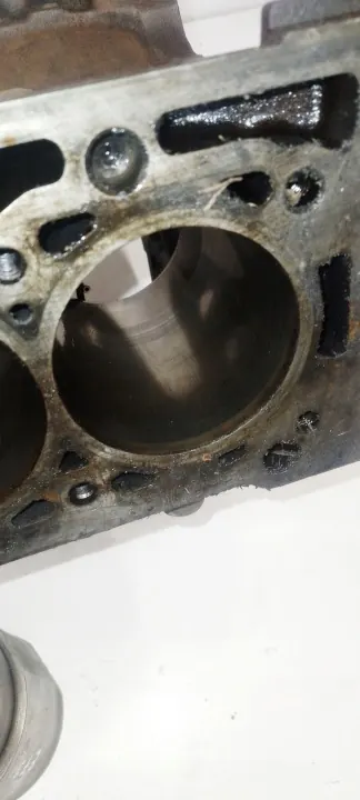 Bloc moteur 1.6 16V OEM 102932 K4M ms14260127 image 10