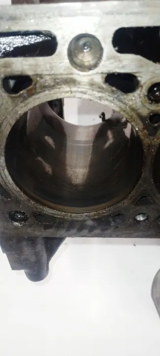 Bloc moteur 1.6 16V OEM 102932 K4M ms14260127 image 7
