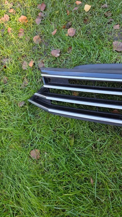 Grill Radiator Logo for VW Passat B8 image 4