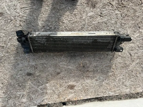 Radiatore Intercooler Renault Trafic III OEM 144962019R image 3