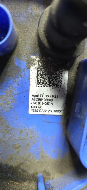 AUDI RS3 8V 2.5 TFSI Brandstofpomp 8V0919087A image 5