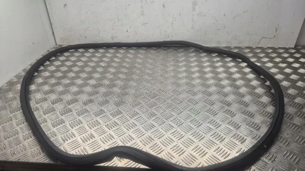 Deurrubber Opel Insignia B 2019 OEM 13463943 image 2