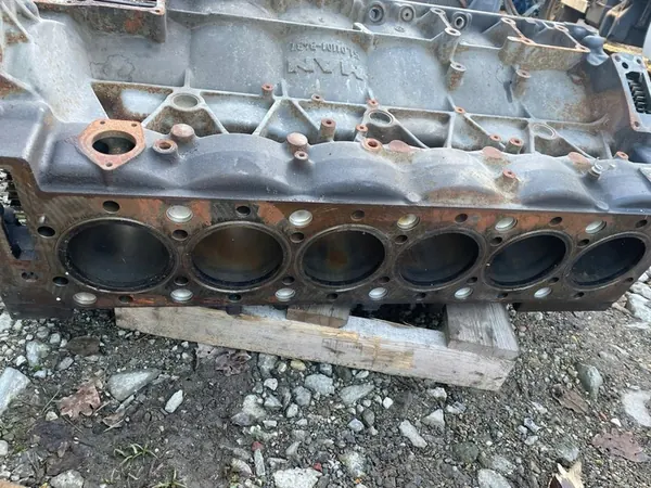 Motorblock MAN 51.01101-3437 image 3