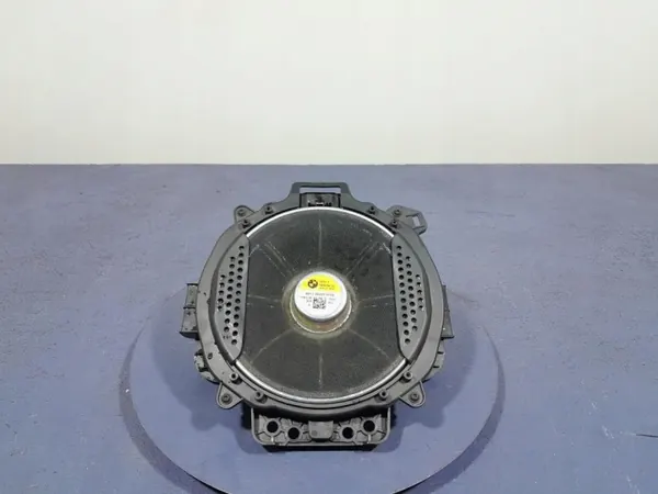 Caisson de graves Harman Kardon BMW X7 G07 OEM 2622516 image 2