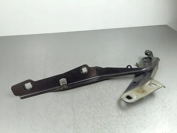 Dobradiças do capô Dodge RAM VAN 2018 image 1