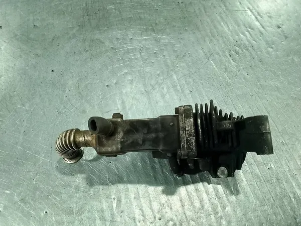 Válvula EGR con enfriador Renault Scenic II image 3