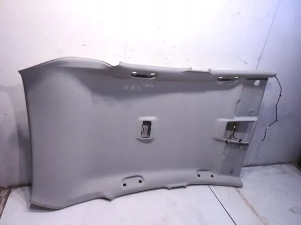 Plafonnier Opel Astra J 2011 OEM 13293877 image 7