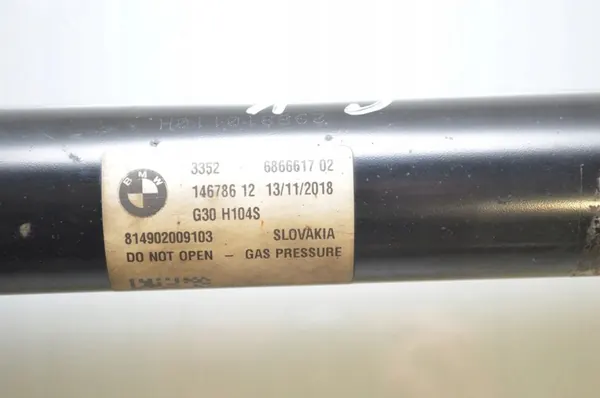 Ammortizzatore posteriore BMW 5 G30 G31 2019 image 4