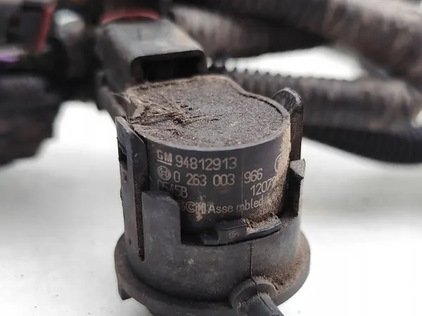 Vauxhall Antara PDC-anturin johdotus takana 2013 image 7