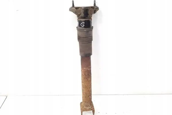 Ammortizzatore posteriore destro MERCEDES-BENZ M (W164) A1643202531 image 2